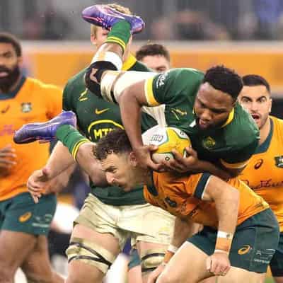 Springboks 'rain' supreme to drown Wallabies' hopes