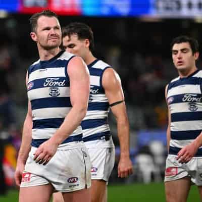 Cats to lick wounds, move on after missed top-four shot