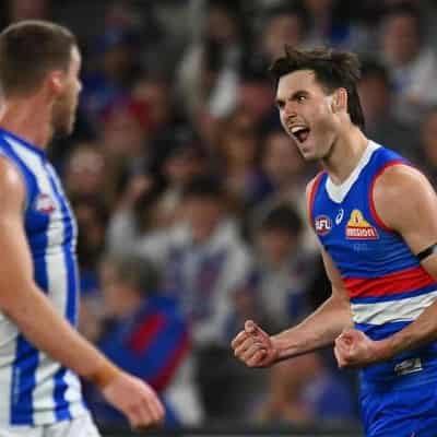 Darcy fires as Dogs take finals step by smashing North