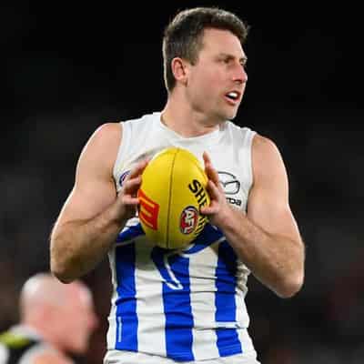 North veteran Shiels calls time on AFL comeback