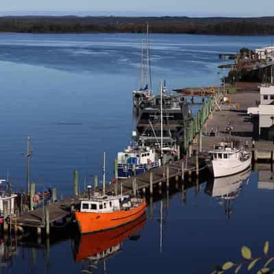 Remote salmon farmers take fight to nation's capital