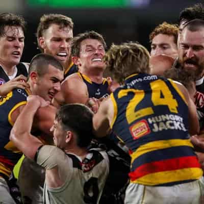 Police probe Adelaide's Crouch for clash with Port fan