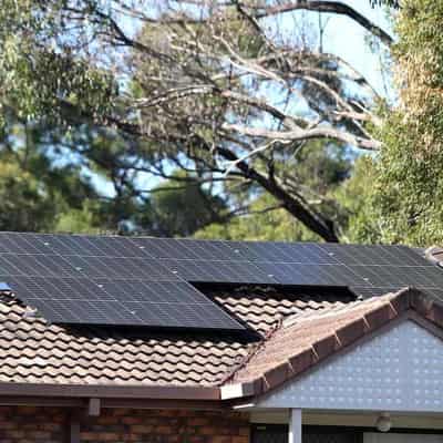 Queensland renters locked out of solar savings