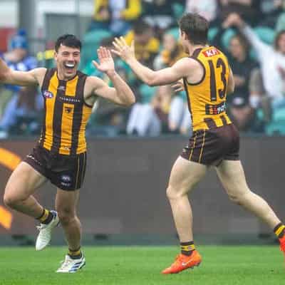 Hawthorn make AFL top eight with Kangaroos rout