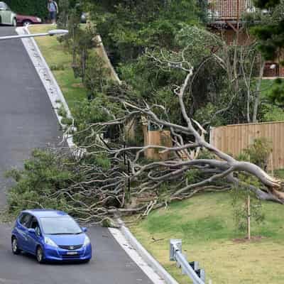 Damage warning for wild weather to lash southern states