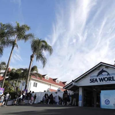 Ride stoppages 'standard' despite two incidents