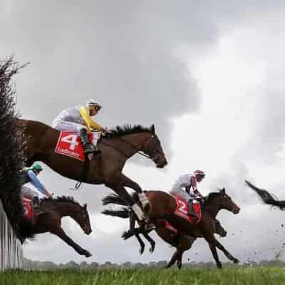 'Get off their high horses': call to end jumps racing