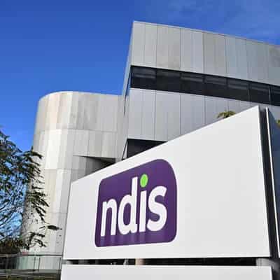 Disability executive returns to lead NDIS watchdog