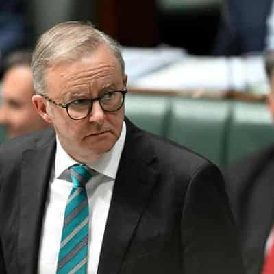 Albanese wrong to say 'nothing has changed' on Labor census stance