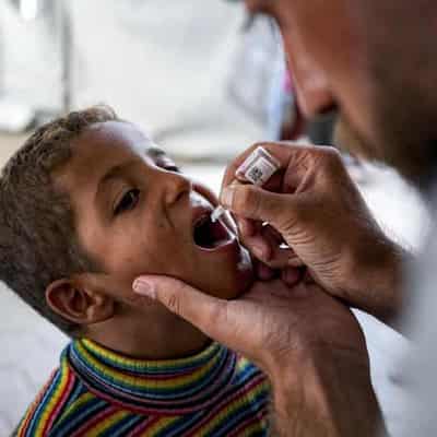 UN hails Gaza polio campaign progress, urges ceasefire