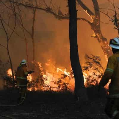 Be prepared: north told to brace for spring bushfires