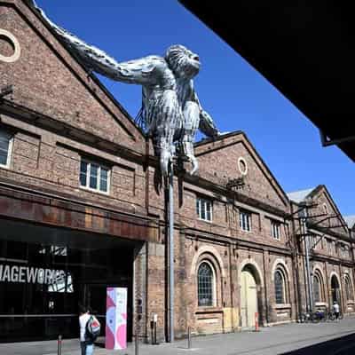 Inflatable ape looks for love at Sydney Contemporary