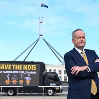 Job not over: what's next for NDIS after Bill Shorten