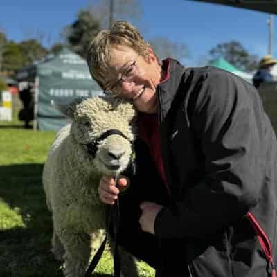 Farmers flock to baby-faced 'organic lawnmowers'