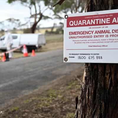 Fight to keep deadly avian influenza strain at bay