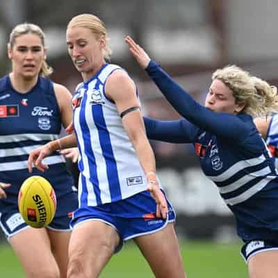 North, Geelong play out draw after Cats stage comeback