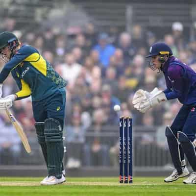 No pressure on Fraser-McGurk for instant T20 hit: Marsh