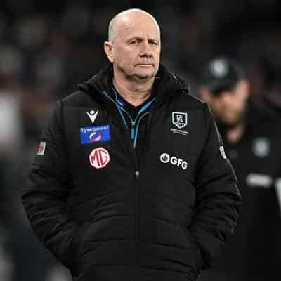 Hinkley expects to continue as Port coach next year