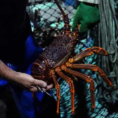 China pledges more trade access but lobster ban remains