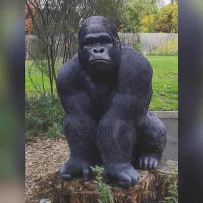 Retirement village gorilla thief gets community service