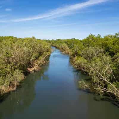 'Waterways are drying up': plea for environmental laws