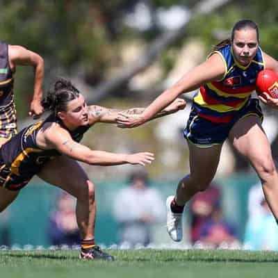 Famous five for Ponter as Crows dominate against Hawks