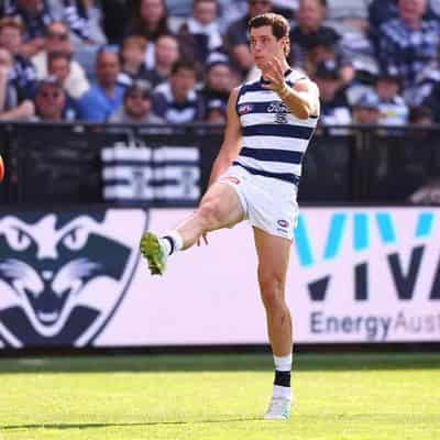 Remodelled Cats AFL attack thriving: Cameron