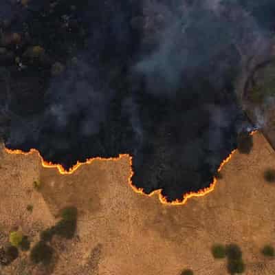 AI-powered satellites to search for Aussie bushfires