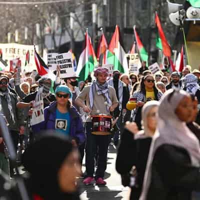 Envoy calls for more Palestine aid after probity pledge