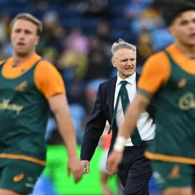 Inside knowledge goes both ways, says Wallaby Schmidt