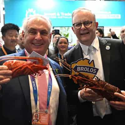 China pulls handbrake on Australian lobster imports