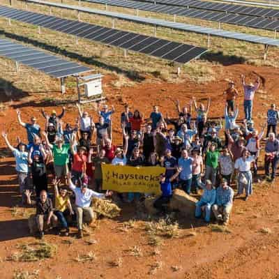 Australia's first solar garden prepares for its harvest