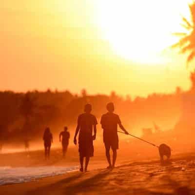 Scientists sweat on warning system for lethal heatwaves