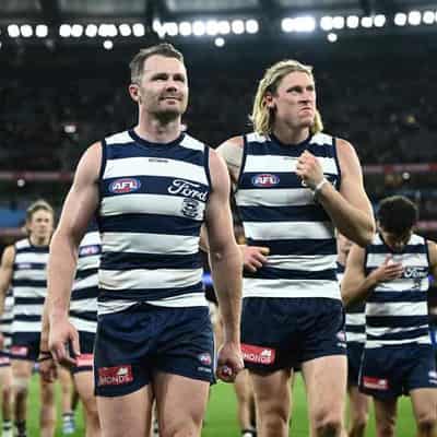 Dangerfield rallies Cats to regroup after heartbreak