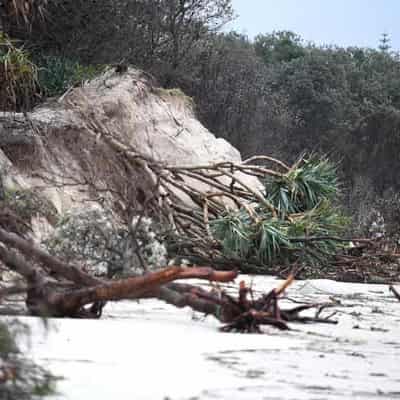 Thousands of homes in blackout after destructive winds