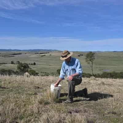 Digging it: regenerative farmers keen to spread word