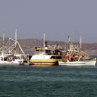 NSW Fisheries officers' night strike over safety risks