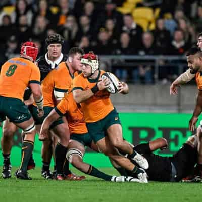 Wallabies want competitiveness on Spring Tour