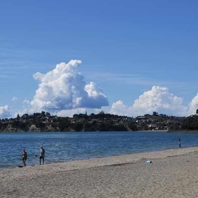 Claim about Maori's customary marine title powers misleads