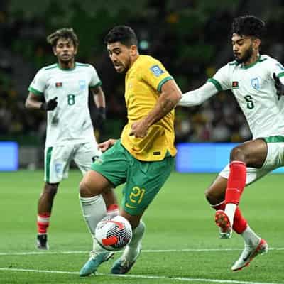 Luongo back in Popovic's first squad as Socceroos boss