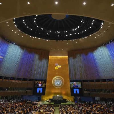 No truth to UN Pact for the Future claims in viral video