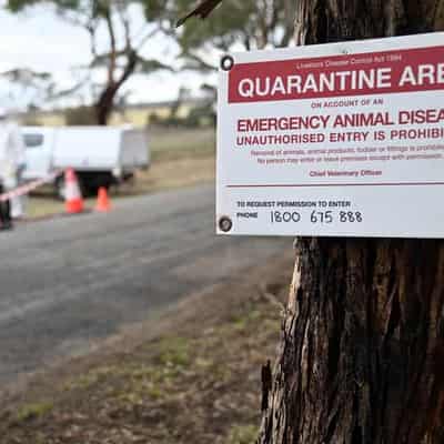 Devastating bird flu strain 'on Australia’s doorstep'