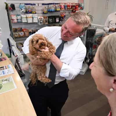 Dodgy tweets and shirt dog Labor on Qld campaign trail