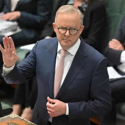 Albanese apology for 'insensitive' Tourette's comment