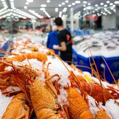 Trade war fully thawed as China drops live lobster ban