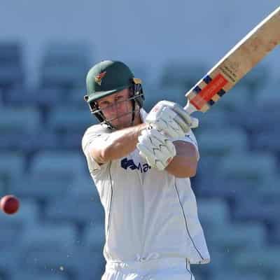 Tassie's Webster belts timely Sheffield Shield century