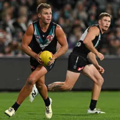 Hawks, Blues shake up AFL trade period with picks swap