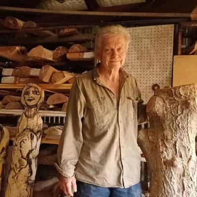 Bush sculptor lets felled trees tell their tall tales