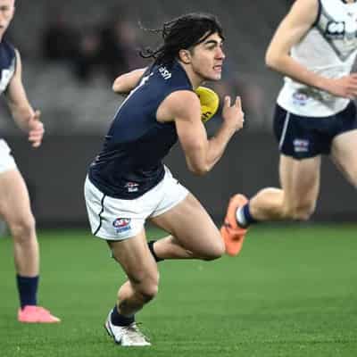 Bombers, Demons could further muddy AFL trade waters