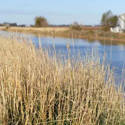 Farmland sales plumb 29-year low as price demands boom